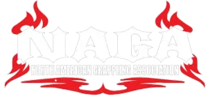idnaga169.com Logo
